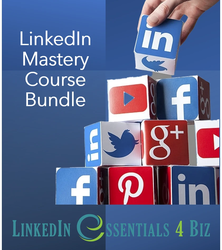 0118419474075-course-bundle-image-li-mastery-17116337480336.png